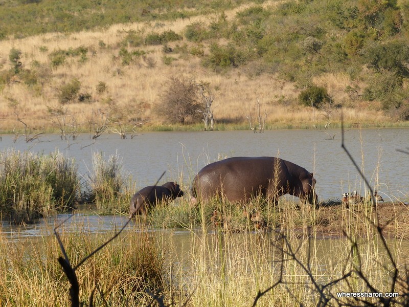 Pilanesberg National Park