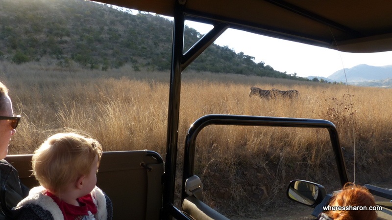 Pilanesberg National Park safari with kids