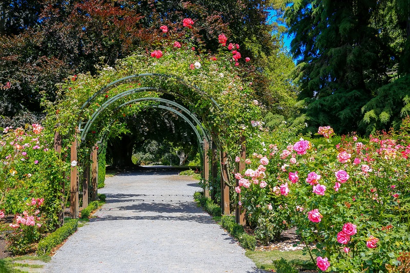 things for kids to do in christchurch at Christchurch Botanical Garden