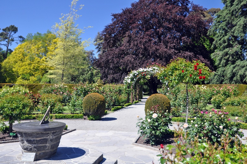 attractions in christchurch at Lady Norwood Rose Gardens