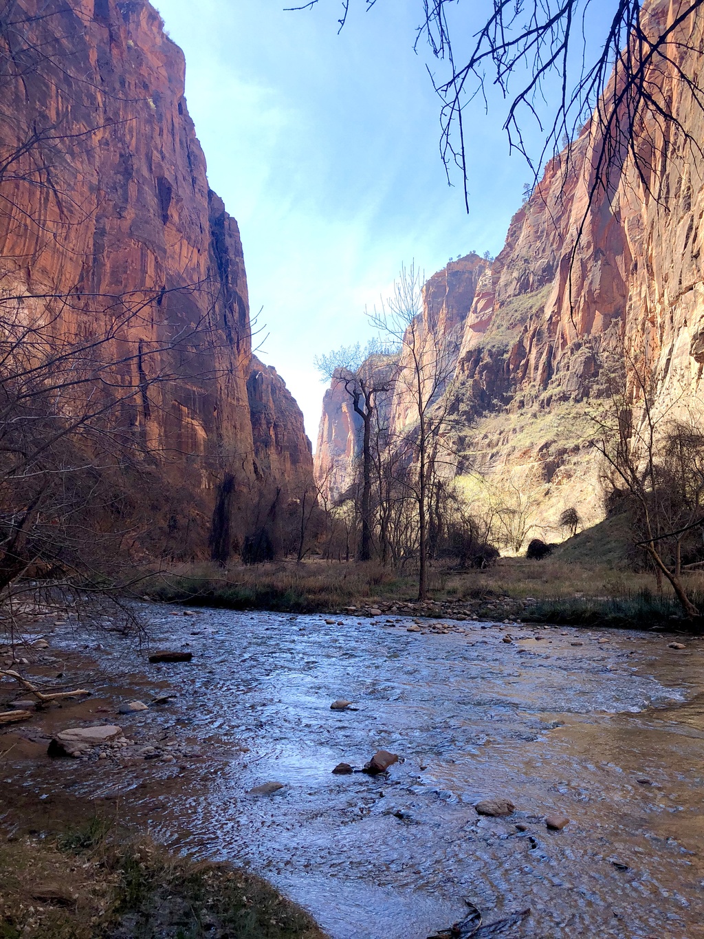 Zion National Park with Kids Family Travel Blog Travel Zion National Park with Kids Family Travel Blog Travel