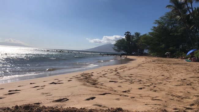  "Our" beach. The best spot is the far end by the trees. 